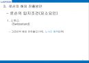 로손의 해외시장진출 전략 33페이지