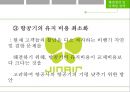진에어Jin Air 36페이지