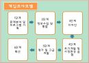 사회복지 프로그램 개발의 이해 15페이지