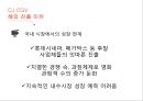 CJ CGV 글로벌 마케팅전략 8페이지