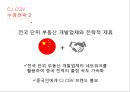 CJ CGV 글로벌 마케팅전략 14페이지