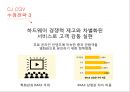 CJ CGV 글로벌 마케팅전략 15페이지