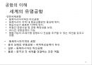 항공사 경영론 19페이지