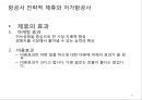 항공사 경영론 27페이지