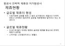 항공사 경영론 29페이지