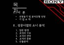sony성공과 실패 2페이지