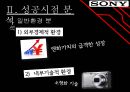 sony성공과 실패 10페이지