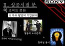 sony성공과 실패 14페이지