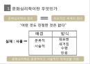 문화 심리학문화심리학의 원리문화심리학의 기원문화심리학의 정의니체철학실증주의 한계 3페이지
