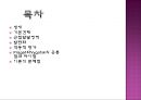 Vygotsky의 사회문화적 발달이론Vygotsky의 생애Vygotsky 의 사고와 언어근접 발달 영역근접 발달 영역이란 2페이지
