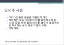 그리스 문화의 특징아테네와 스파르타철학과 자연과학로마시대 특징건축복식의 형태미용형태화장형태 11페이지