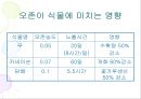 오존층파괴오존층 파괴물질 현상오존층 보호지구의 대기태양광의 흡수오존의 생성과 분해오존파괴의 메커니즘 11페이지