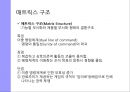 조직 구조의 기초조직구조란조직 설계의 유형조직 설계 대안글로벌 시사점 19페이지