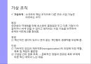 조직 구조의 기초조직구조란조직 설계의 유형조직 설계 대안글로벌 시사점 24페이지