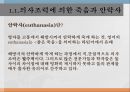 죽음과 뇌사안락사의 분류와 사례존엄사안락사란죽음의 정의안락사 분류존엄사란존엄사법 운영실태 3페이지