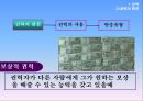 조직의 힘 권력과 갈등 14페이지