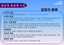 조직의 힘 권력과 갈등 30페이지