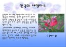 네일 케어 NAIL CARE 12페이지