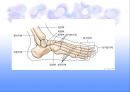 네일 케어 NAIL CARE 17페이지
