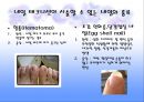 네일 케어 NAIL CARE 24페이지