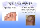 네일 케어 NAIL CARE 29페이지