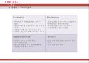시세이도 마케팅전략 17페이지