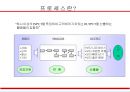 경영혁신과 BPR (Business Process Reenginering) 8페이지