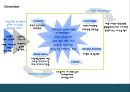 브랜드 포토폴리오 전략 Brand Portfolio 11페이지