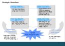 브랜드 포토폴리오 전략 Brand Portfolio 17페이지