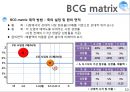 PPM(Product Potfolio Management) 10페이지