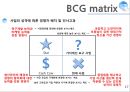PPM(Product Potfolio Management) 17페이지