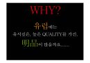 이미지 마케팅(코디스타일 연출) GLOBAL IMAGE MAKING 5페이지