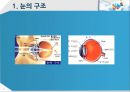 건강한 눈 관리법 3페이지