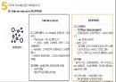유통전략 사례분석비교(월마트니만마커스현대백화점) 16페이지