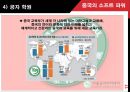 중국의 소프트 파워 17페이지