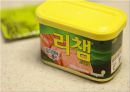 리챔 광고기획 32페이지