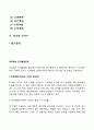 피아제의 인지발달단계 2페이지