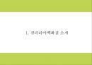 갤러리아백화점 기업분석과 SWOT분석및 갤러리아 마케팅전략분석과 갤러리아백화점 향후 새로운마케팅전략 제시 PPT 4페이지