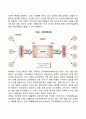[생태체계이론의 주요개념] 체계의 구조적 특성, 진화적 특성, 과정적 특성 4페이지