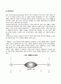 분석심리학의 주요개념 4페이지