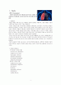 [A+성인]Pneumonia폐렴 + COPD Case study  3페이지