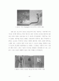 논문-고령친화의 유형별 특성 및 사례분석 연구(완결) [학사학위청구논문] 49페이지