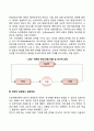 브론펜브레너(Bronfenbrenner)의 생태체계이론 9페이지