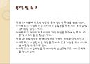 노인미술치료 6페이지