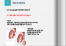 성에 대한 오해와 진실 ppt 발표자료 A++.pptx 8페이지