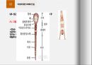 성에 대한 오해와 진실 ppt 발표자료 A++.pptx 25페이지