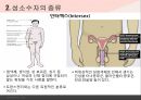 성소수자에 관한 모든것 ppt 발표자료 A++.pptx 10페이지