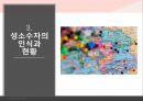 성소수자에 관한 모든것 ppt 발표자료 A++.pptx 11페이지