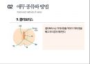 애무(愛撫)에 관한 모든것 ppt 발표자료 A++.pptx 15페이지