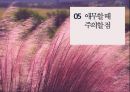 애무(愛撫)에 관한 모든것 ppt 발표자료 A++.pptx 29페이지